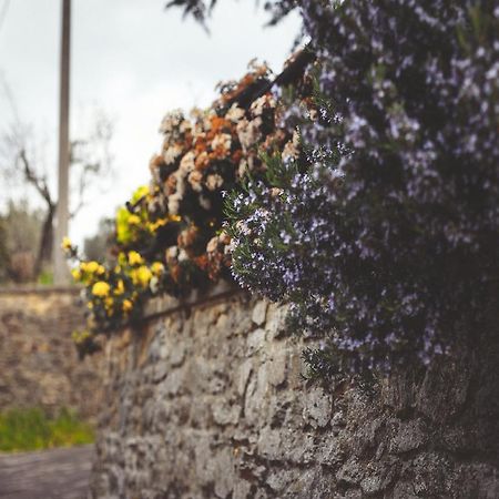 科里纳托斯卡纳住宿加早餐旅馆 Pieve a Maiano 外观 照片