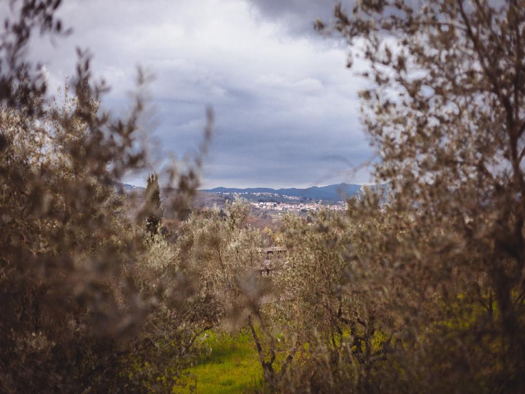 科里纳托斯卡纳住宿加早餐旅馆 Pieve a Maiano 外观 照片